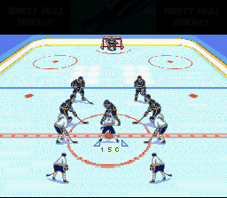 Brett Hull Hockey