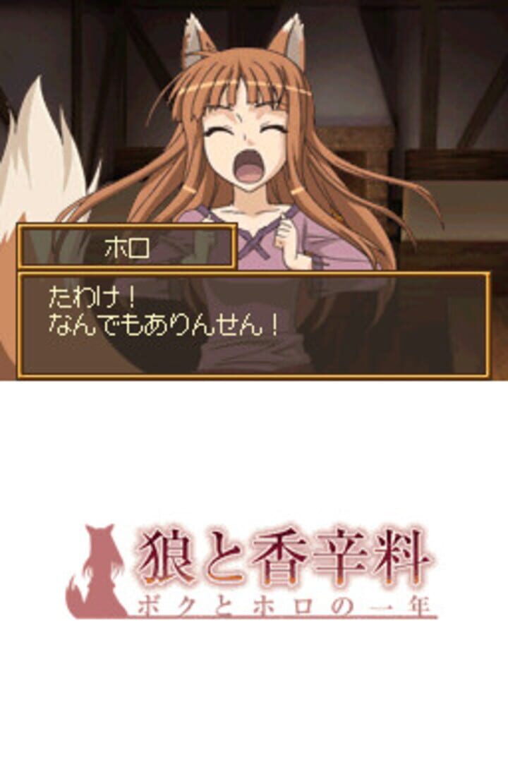 Ookami to Koushinryou - Boku to Holo no Ichinen