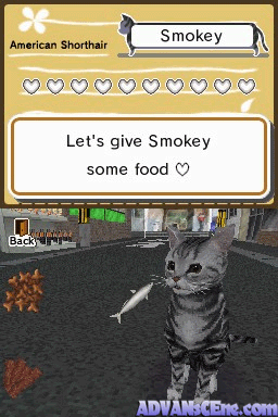 动物天堂