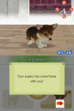 任天狗 - 拉不拉多犬與夥伴