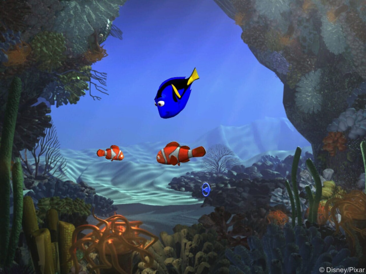 Finding Nemo