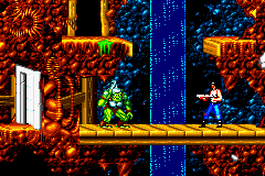 Blackthorne