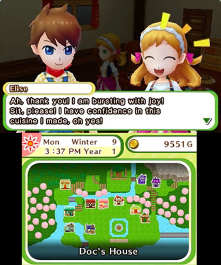 Harvest Moon - Skytree Village