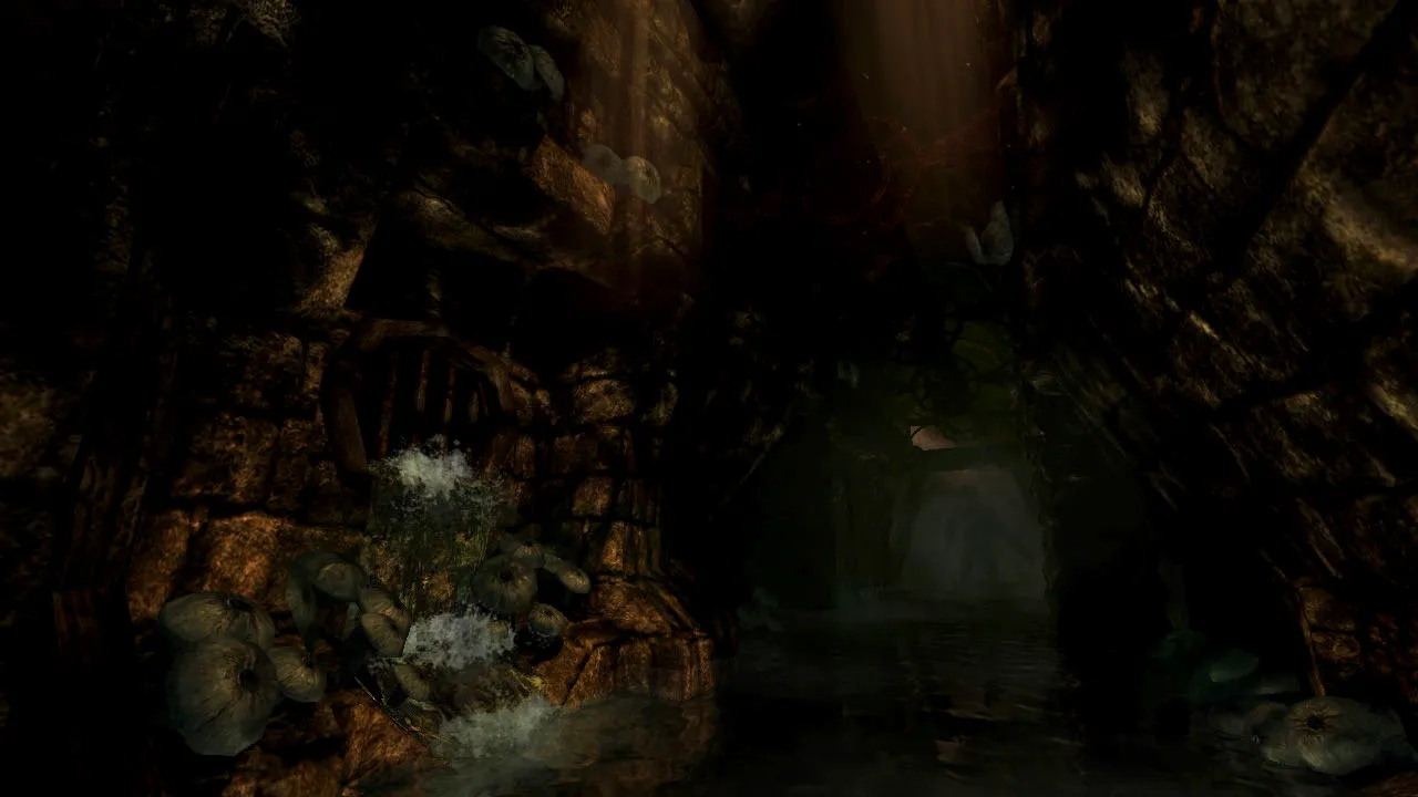 Amnesia: Collection