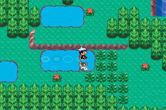 Pokémon - Ruby Version