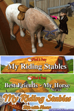 3 in 1 - Horses