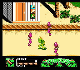 Teenage Mutant Ninja Turtles 2 - The Manhattan Project