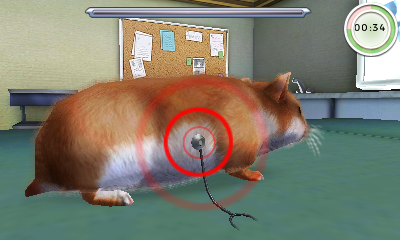 Animal Hospital
