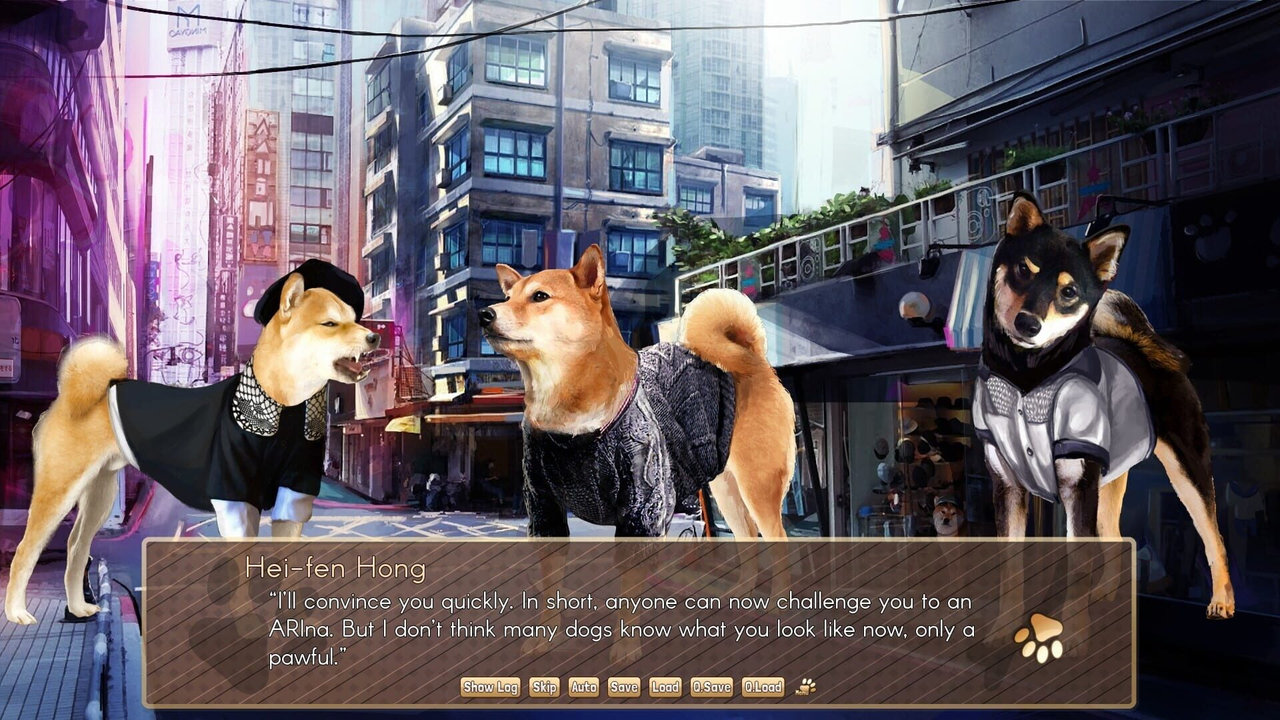 A Summer with the Shiba Inu