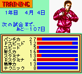 KO職業拳王