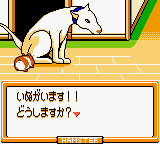 天竺鼠乐园 3